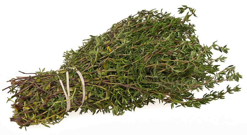 Thyme is a versatile herb