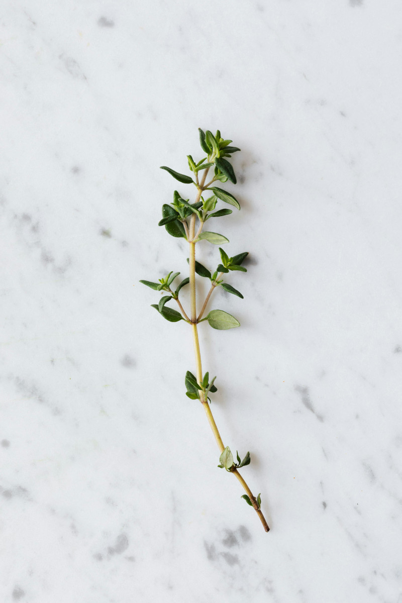 Thyme is the perfect seasoning